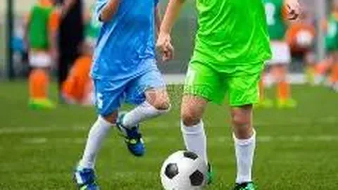 费德勒因伤告别2025赛季征程